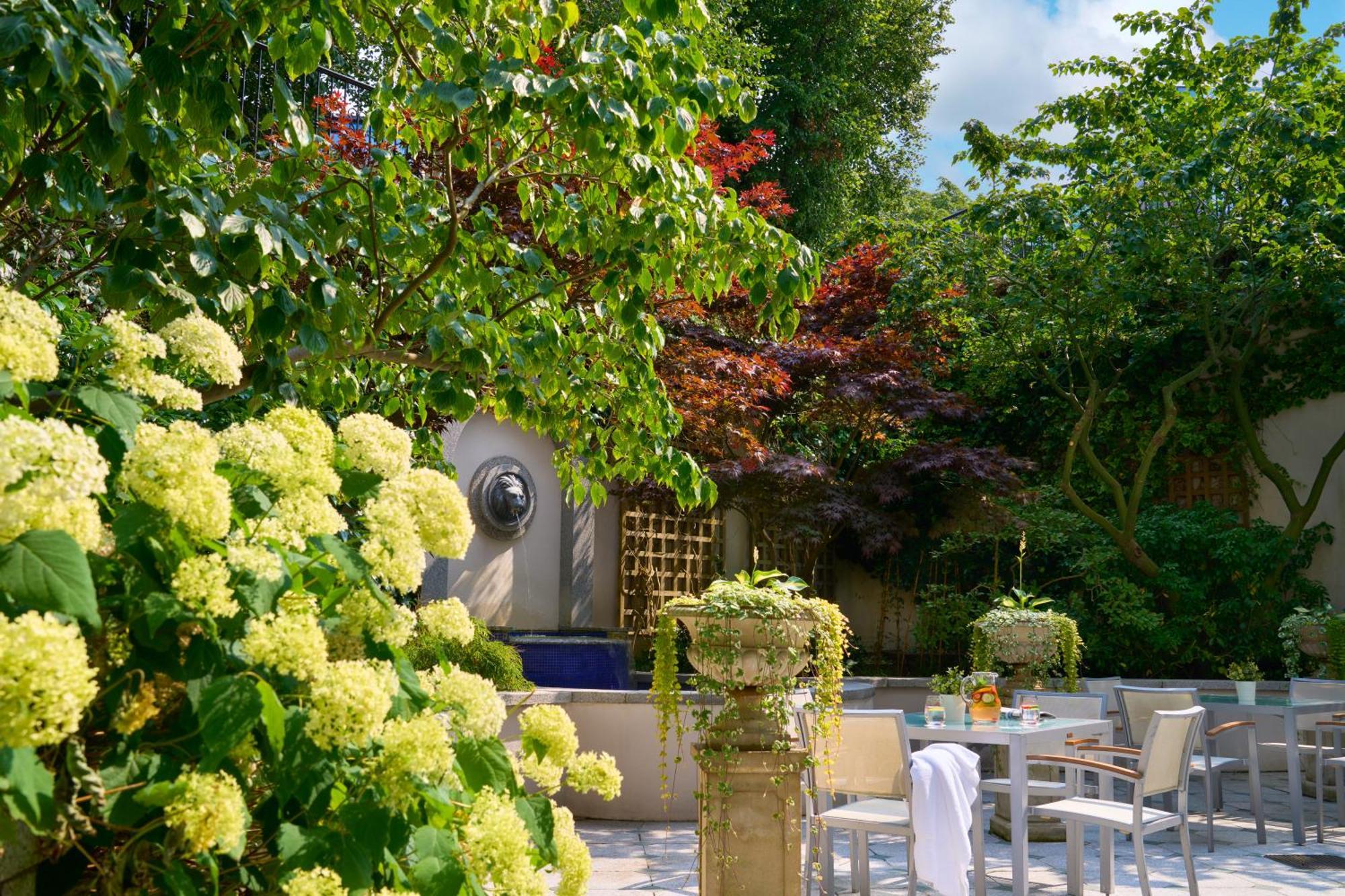 都柏林洲际酒店 外观 照片 The garden of the house